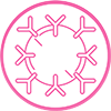 HPV - Genitalwarzen